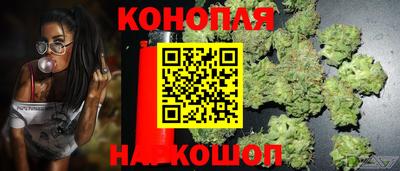 тгк Пенза