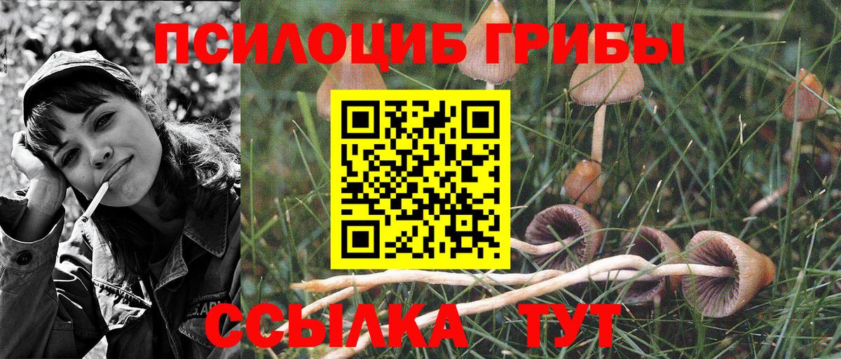 Асино  Псилоцибиновые грибы Magic Shrooms  Вход с VPN 
